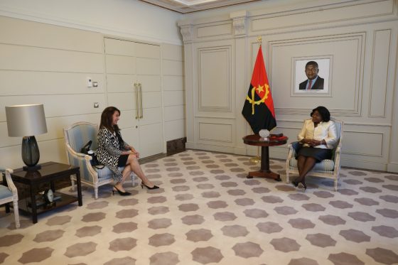 Vice-Presidente recebe em audiência representante da FAO em Angola