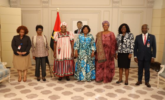 VPR recebe em audiência liderança da Organização Pan-africana da Mulher