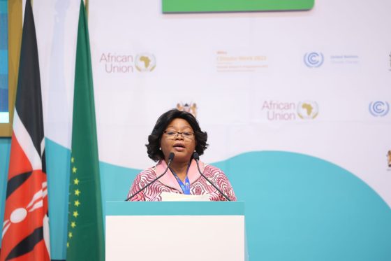 VPR diz que apoio a projectos climáticos em África contribui para estabilidade global
