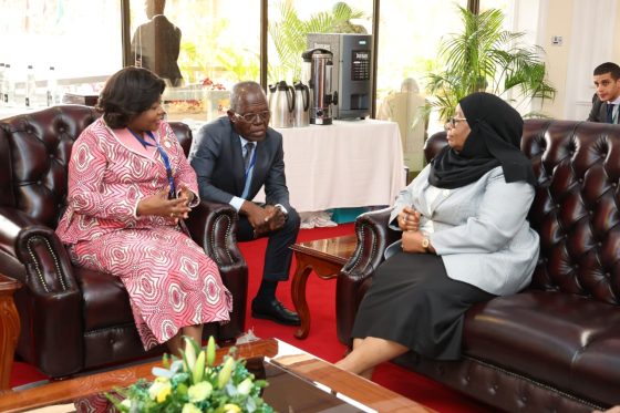 Vice-Presidente da República mantém encontro de cortesia com Presidente da Tanzânia
