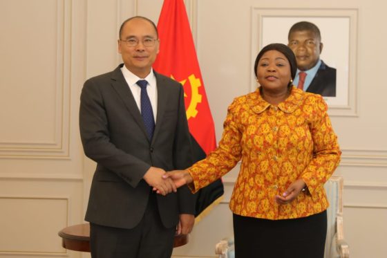 VPR recebe em audiência Embaixador da China em Angola